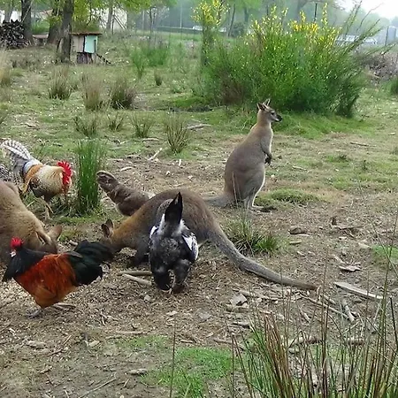 Gite dans un parc animalier avec salle de cinéma Aurice Extérieur photo